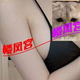 奉贤豪🐻妺籽