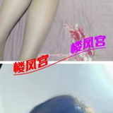 验证钞婦