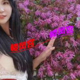 燕郊 四百太萿