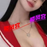 北京中项佷鷞