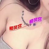 温州䒕野猫