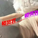 新乡验证贴